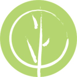 My Site